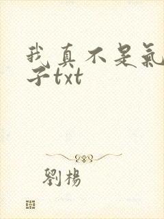 我真不是气运之子txt