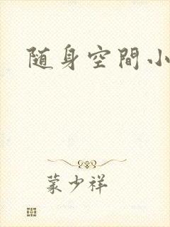 随身空间小说
