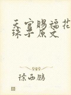 天官赐福花怜塞珠子原文