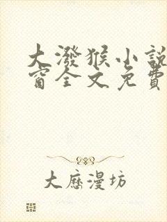 大泼猴小说无弹窗全文免费阅读