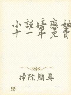 小说暗恋她的第十一年免费看封面