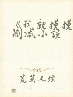 《我就摸摸》无删减小说