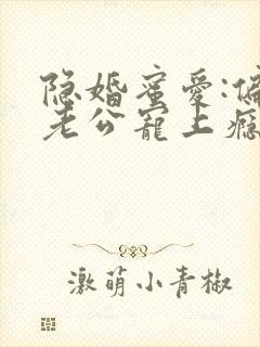 隐婚蜜爱:偏执老公宠上瘾在线阅读全文封面