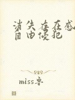 消失存在感消失自由侵犯封面
