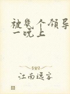 被几个领导玩弄一晚上