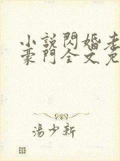 小说闪婚老公是豪门全文免费阅读
