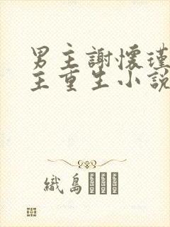 男主谢怀瑾的女主重生小说封面