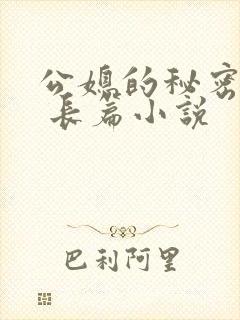 公媳的秘密性事 长篇小说