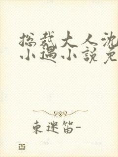 总裁大人沈仰童小遇小说免费阅读