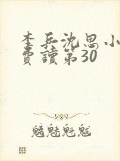 李兵沈思小说免费读第30封面