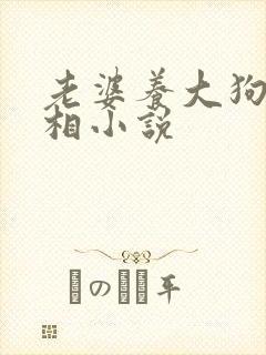 老婆养大狗的真相小说