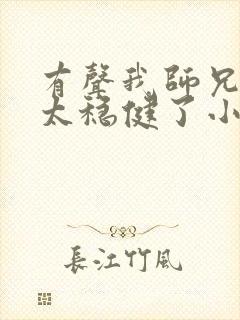 有声我师兄实在太稳健了小说
