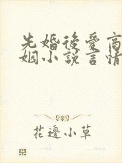 先婚后爱商业联姻小说言情