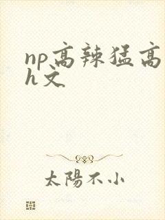 np高辣猛高辣h文