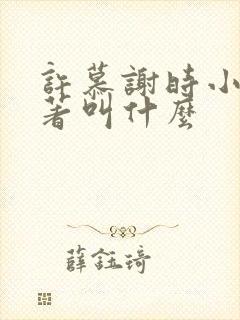 许慕谢时小说原著叫什么