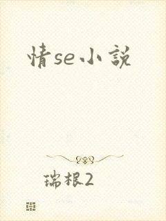 情se小说封面