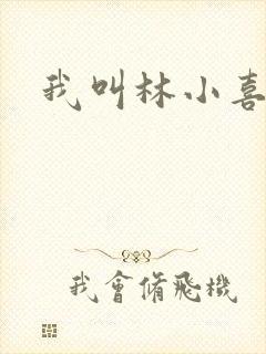 我叫林小喜17封面