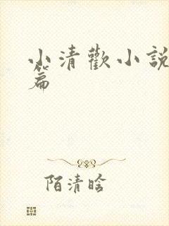 小清欢小说番外篇
