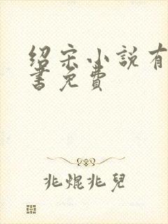 绍宋小说有声听书免费封面