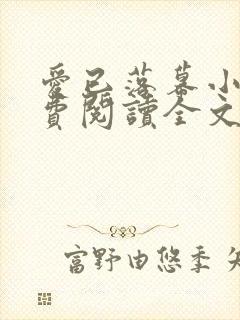 爱已落幕小说免费阅读全文