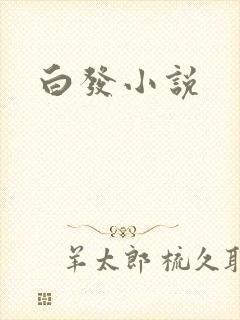 白发小说封面