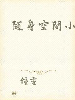 随身空间小说