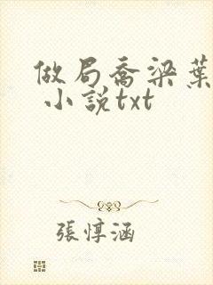 做局乔梁叶心仪 小说txt封面