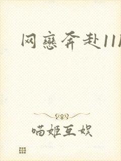 网恋奔赴11h封面