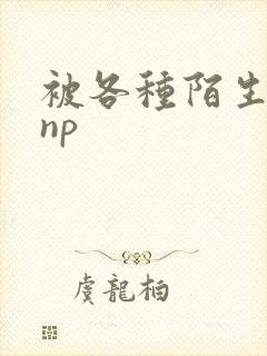 被各种陌生人 np