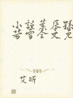 小说叶辰孙怡夏若雪全文免费阅读封面