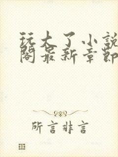 玩大了小说笔趣阁最新章节无弹窗