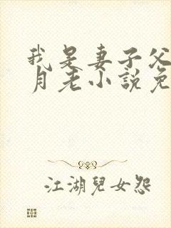 我是妻子父亲的月老小说免费阅读