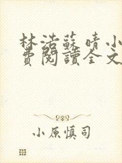 林浩苏晴小说免费阅读全文最新章节封面