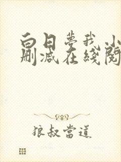 白日梦我小说无删减在线阅读