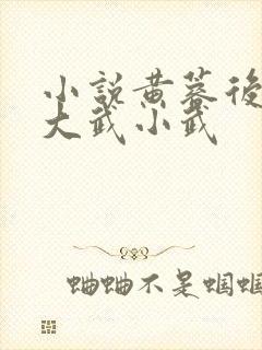 小说黄蓉后传之大武小武