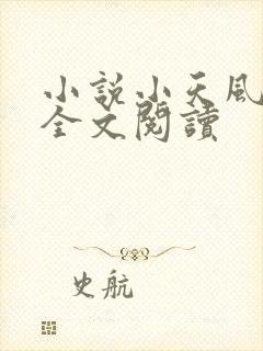 小说小天风流记全文阅读