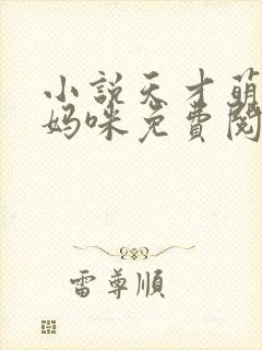 小说天才萌宝俏妈咪免费阅读