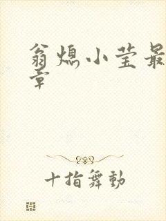 翁熄小莹最新节章封面