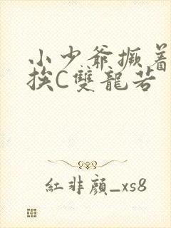 小少爷撅着屁股挨C双龙若封面