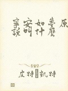 宁安如梦原著小说叫什么封面