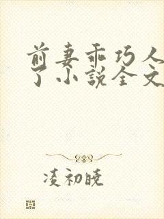 前妻乖巧人设崩了小说全文免费阅读封面