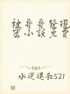 被哥哥发现的秘密小说免费阅读全文