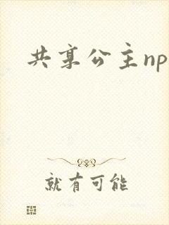 共享公主npc