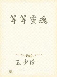 等等灵魂