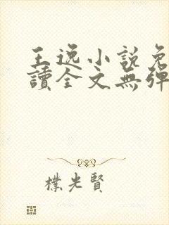 王逸小说免费阅读全文无弹窗封面