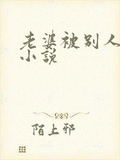 老婆被别人操的小说