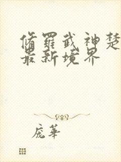 修罗武神楚枫的最新境界封面