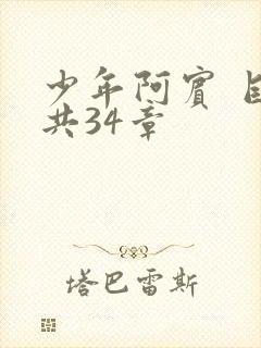 少年阿宾 目录共34章