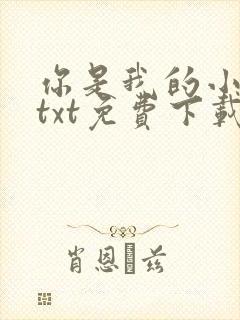 你是我的小确幸txt免费下载