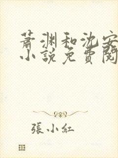 萧渊和沈安安的小说免费阅读封面